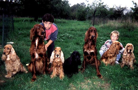 My boys and our dogs in September 2001