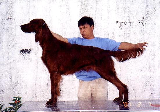 Zafir Ankaranski with his handler